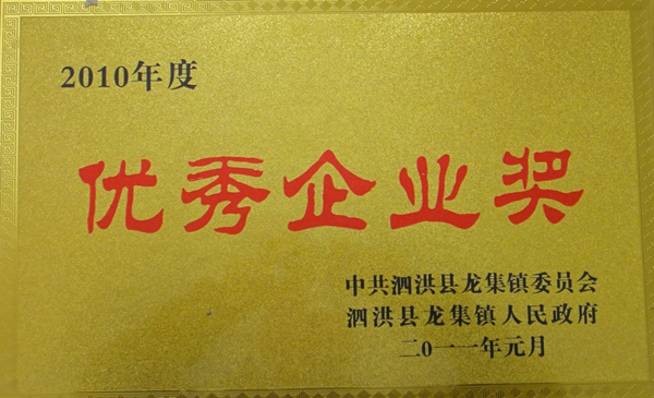 優(yōu)秀企業(yè)獎(jiǎng)3.JPG